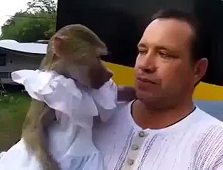 Monkey copying Man actione