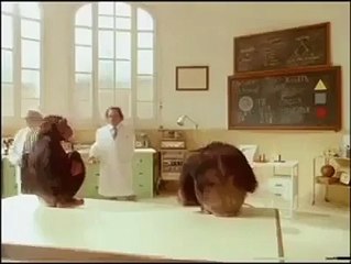 Amazing Animals that spend their lives around people tend to pick up a few ?