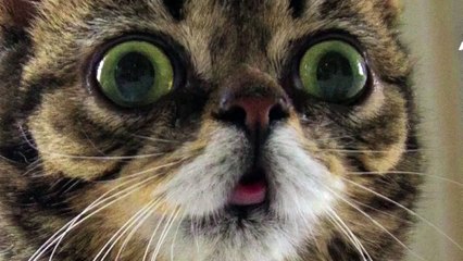 How to make GREAT Vodka out of CHEAP Vodka - Save Money