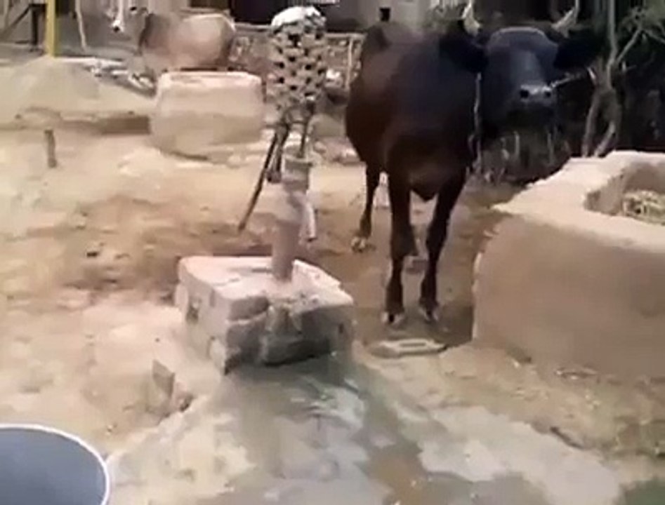 VID-20151223-WA0042.mp4