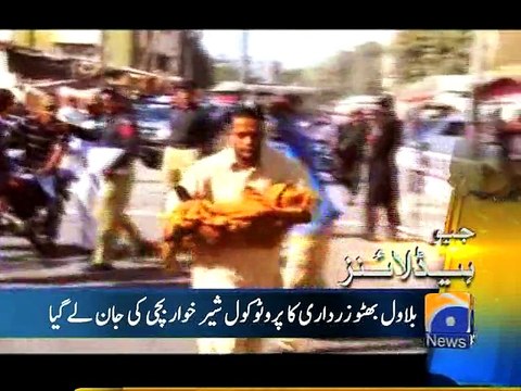 Bilawal Bhutto KE Protocol Ne Bismah Ke Jan Ley Le - Dakey Kase-ARY- Bismah Ke Jan Kasey Gaye- Bilawal Ke Mar Diya Bismah KO