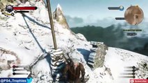 The Witcher 3 Hearts of Stone DLC - Rad Steez, Bro! Trophy / Achievement Guide