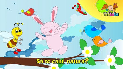 Infloresc gradinile TraLaLa