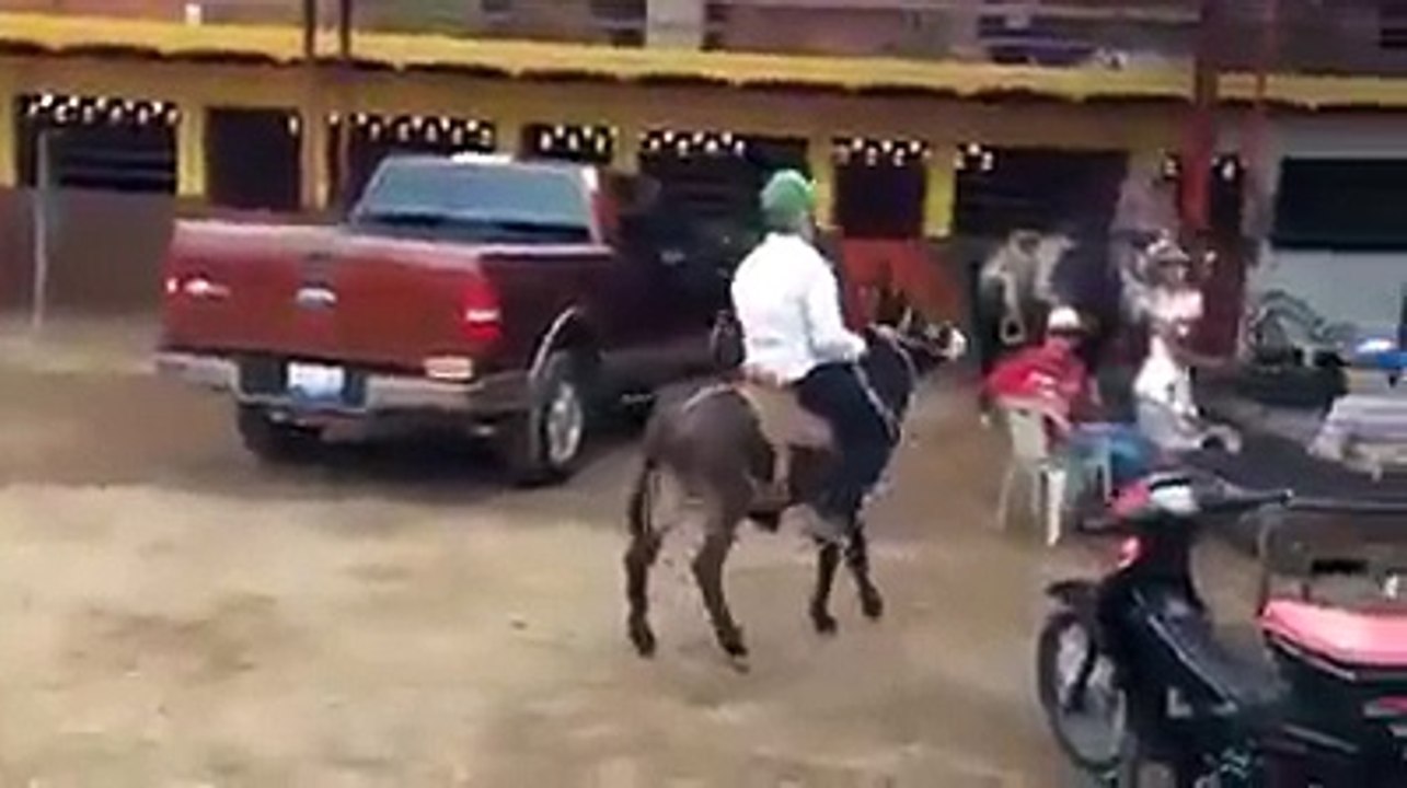 اخر الابداعات في فن التبوريدةi‬
