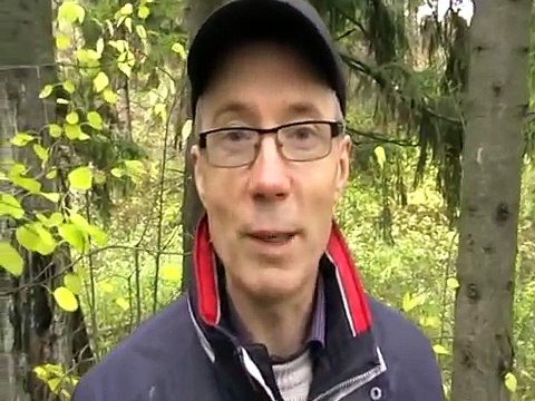 Встретить бы, зверя лютого, и погладить его!