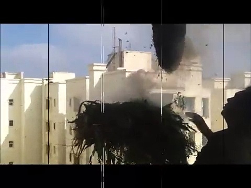 Retirer un nid d'abeilles à mains nues