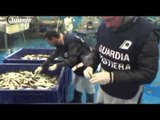 Pescara - Pesce di Natale, Nas sequestrano 10 tonnellate di alimenti (23.12.15)