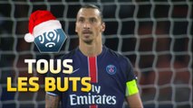 Tous les buts de Zlatan Ibrahimovic J1 - J19 / Ligue 1 - saison 2015-16
