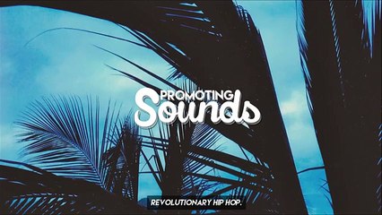 Nate Schultz - The Vibe (Prod. Shawn Lobel)