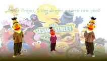 Sesame Street Finger Family Song Daddy Finger Nursery Rhymes Rostita Elmo Snuffy Full anim catoonTV!