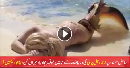 Real Live Mermaid Found near the bank of Sea