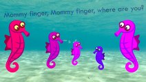 Sea Horse Finger Family Song Underwater Ocean Daddy Finger Nursery Rhymes Full animated ca catoonTV!