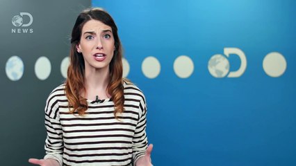 Why The Government Stops Gun Violence Research