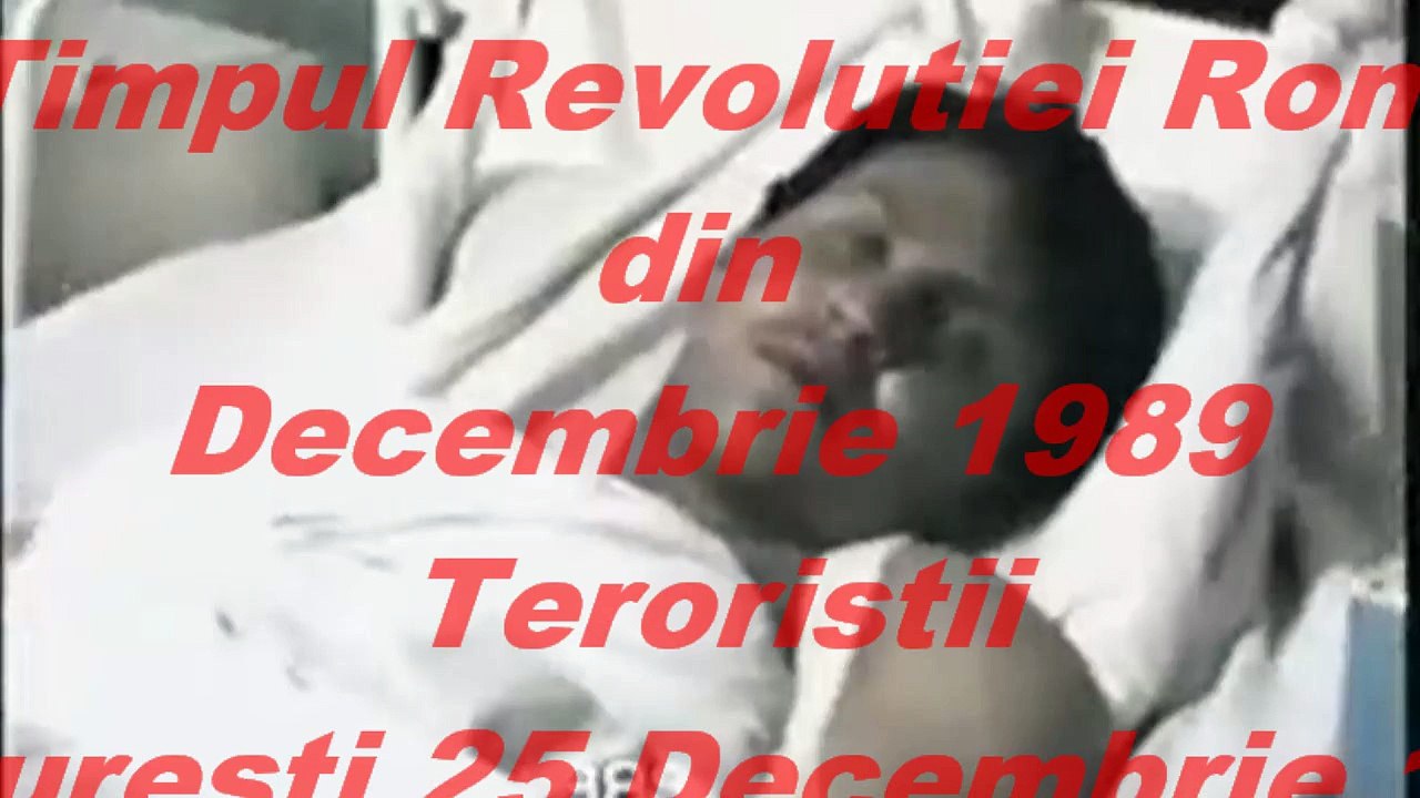 Revolutia Romana din Decembrie 1989 - Teroristii