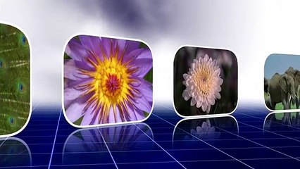 Chapter 22 - Without knowing the whole, a part cannot be created