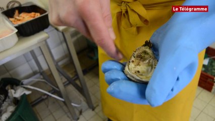 Perros-Guirec (22). Comment bien ouvrir ses huîtres ? (Le Télégramme)