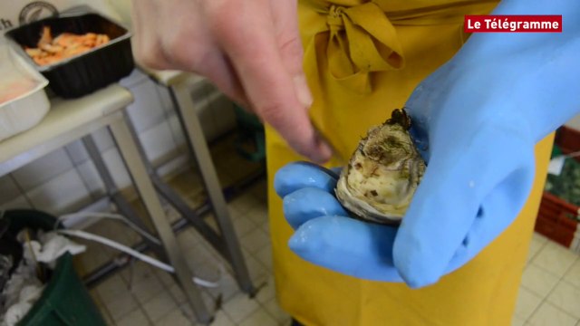 Perros-Guirec (22). Comment bien ouvrir ses huîtres ?