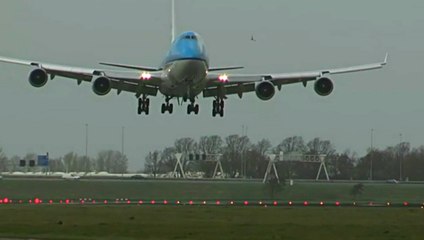 Bird Bounces Off Plane As It's Landing