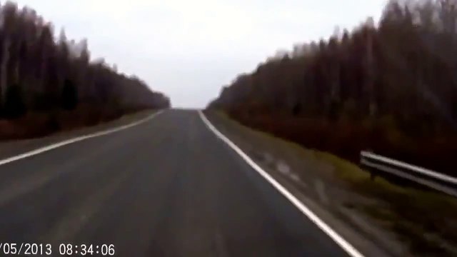 Hızla Giderken Ayıya Çarpan Araba(Rusya)