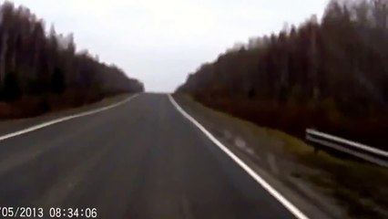 Hızla Giderken Ayıya Çarpan Araba(Rusya)