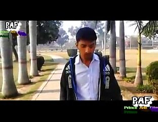 Tera_Naam-Master_Saleem & Prince Arib Edit A New Video Pakistani Vesion 2015