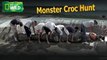 Monster Croc Hunt ( Nat Geo WILD )