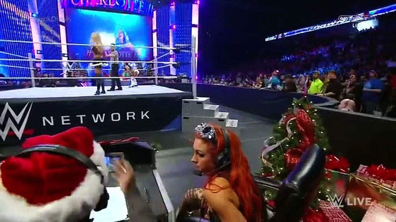 Charlotte vs Brie Bella