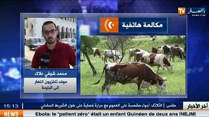 الموجز الإخباري الثاني ليوم 11 أوت 2014