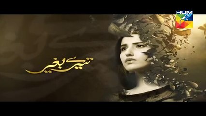 Tere Baghair Episode 7 Promo HUM TV Drama 23 Dec 2015
