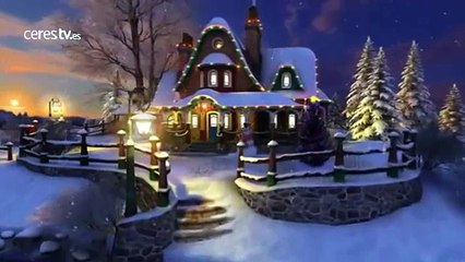 Nuestros gatitos invaden el plató de CERES TV para desearte Feliz Navidad