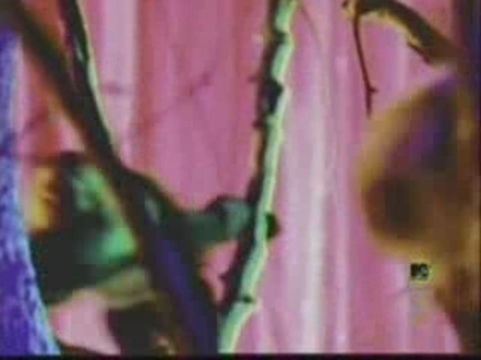 The Offspring-The meaning of life