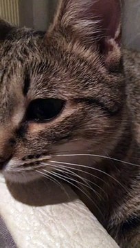 Александр Бон (shponks) on Periscope [2015-12-23 19-59] Соня Через 15 мин #КАМСЮДЫ