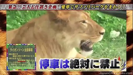 千原ジュニアがタケトにお仕置き！自家用車でサファリパーク！ラ