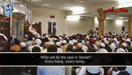 [ENG] Unlimited beauty- Maulana Tariq Jameel - YouTube