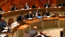 Conseil municipal du 20 novembre 2015