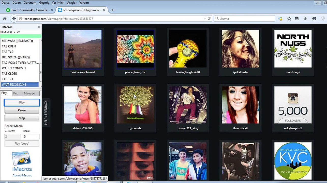 iconosquare auto follow - imacros