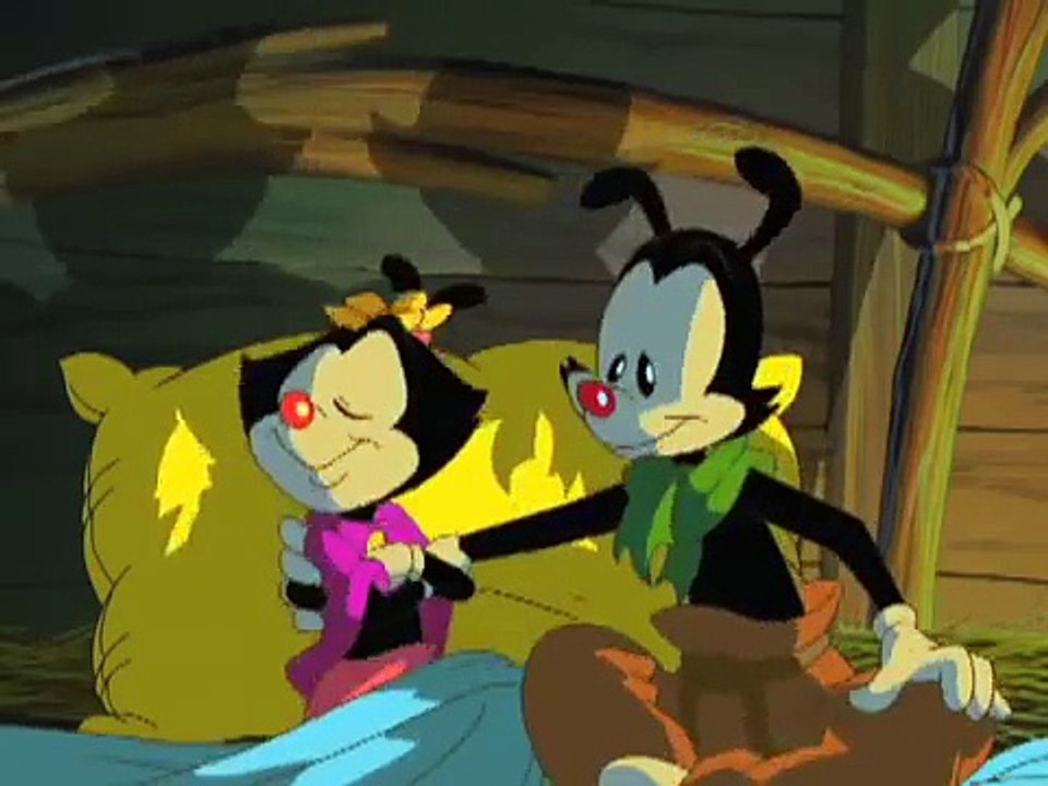 Steven Spielberg Presents Animaniacs: Wakkos Wish The Story