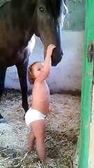 Awww this is so cute & funny