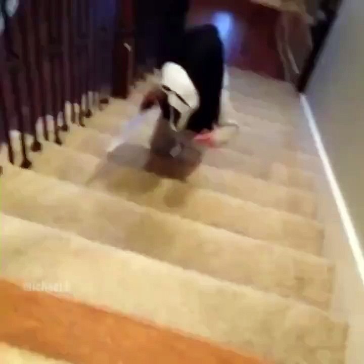 This is cute and hilarious   (Y)-Prank,Comedy,Entertainment,Fun