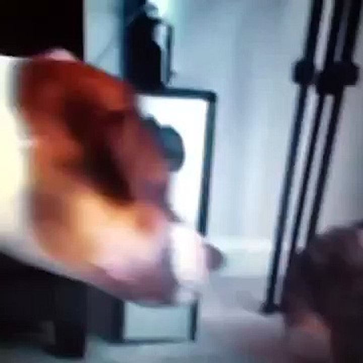 :)))
