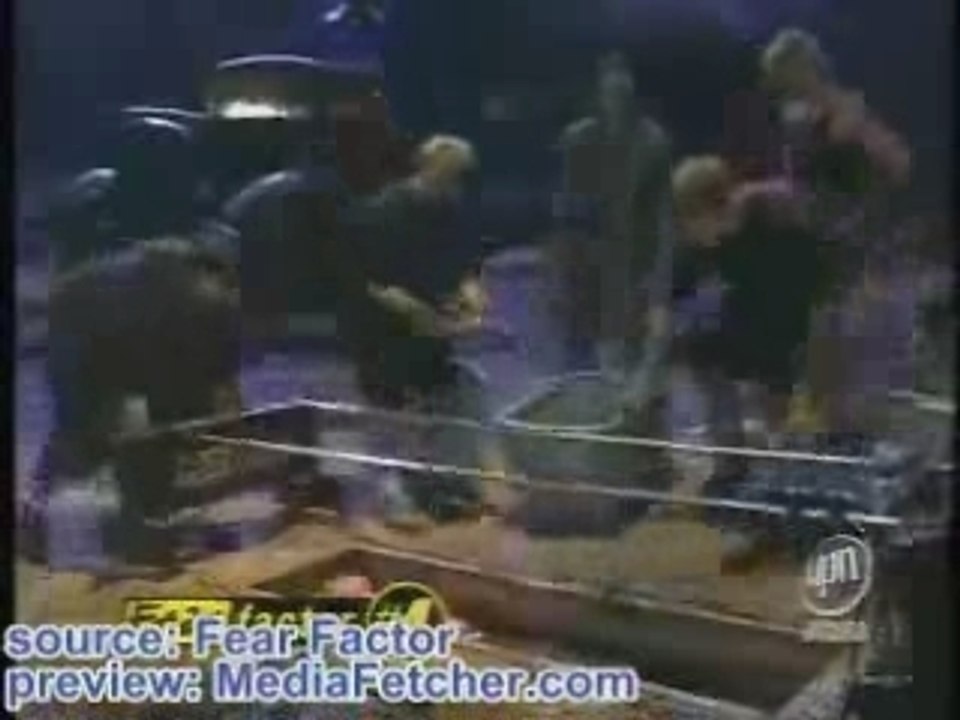 fear factor