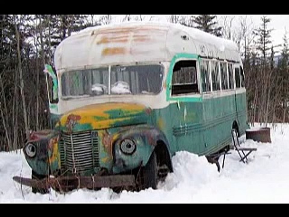 Eddie Vedder  Society  Into the Wild