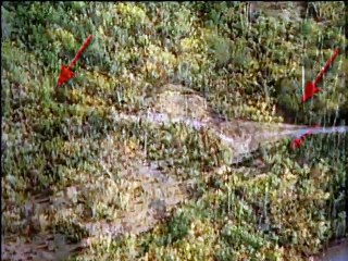 Forensic Files - Kidnapping Cases Sphere of Influence