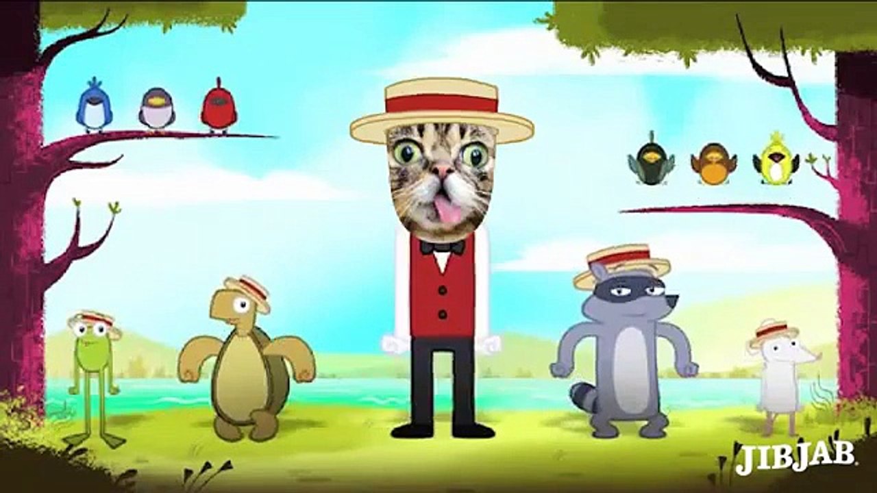 Прикольное видео поздравление С Днем рождения с котом. Cats Happy Birthday