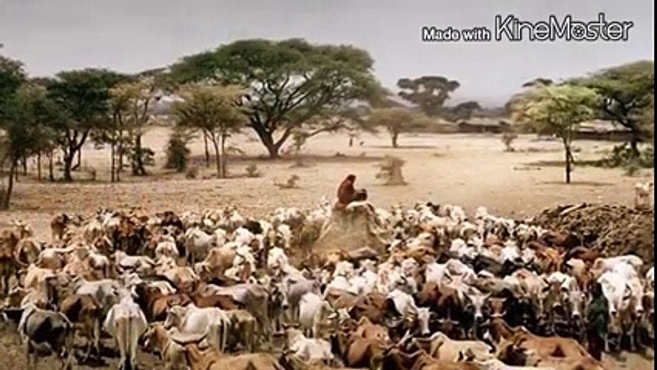 ቅዲ ዓንተር ጓሳ-ብዮሃንስ ከሰተ