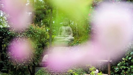 Méditation guidée pour un moment de crise Acceptation radicale (TDC DBT)