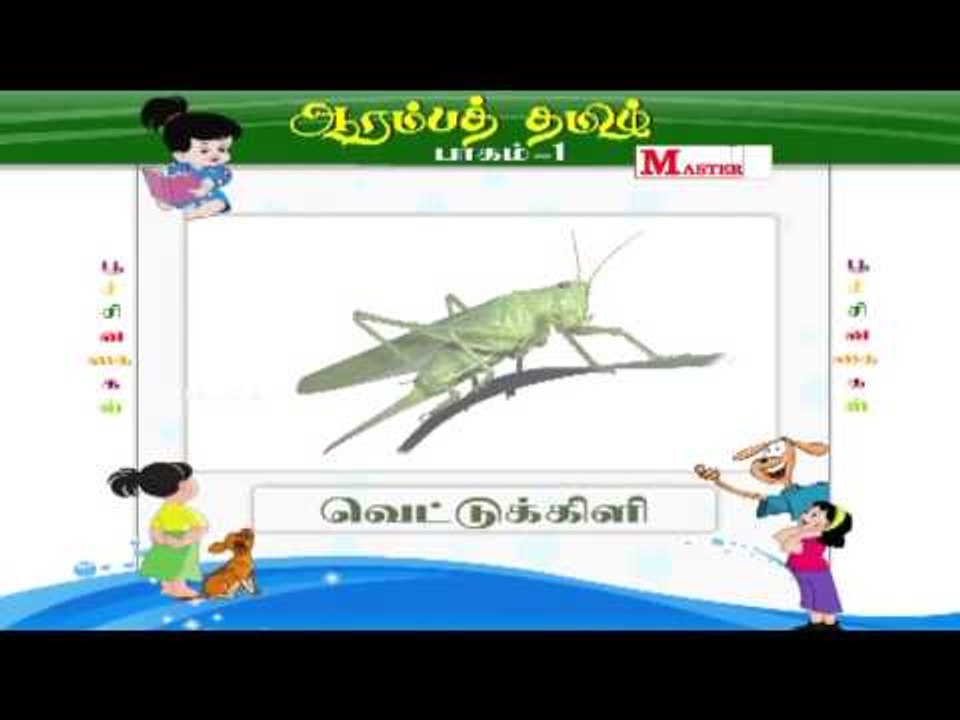பூச்சி வகைகள் (Insects)