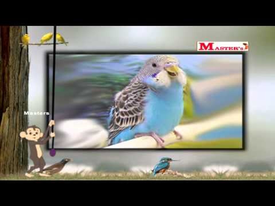 Birds with Sounds Part - 1 - English Animation Video for Kids