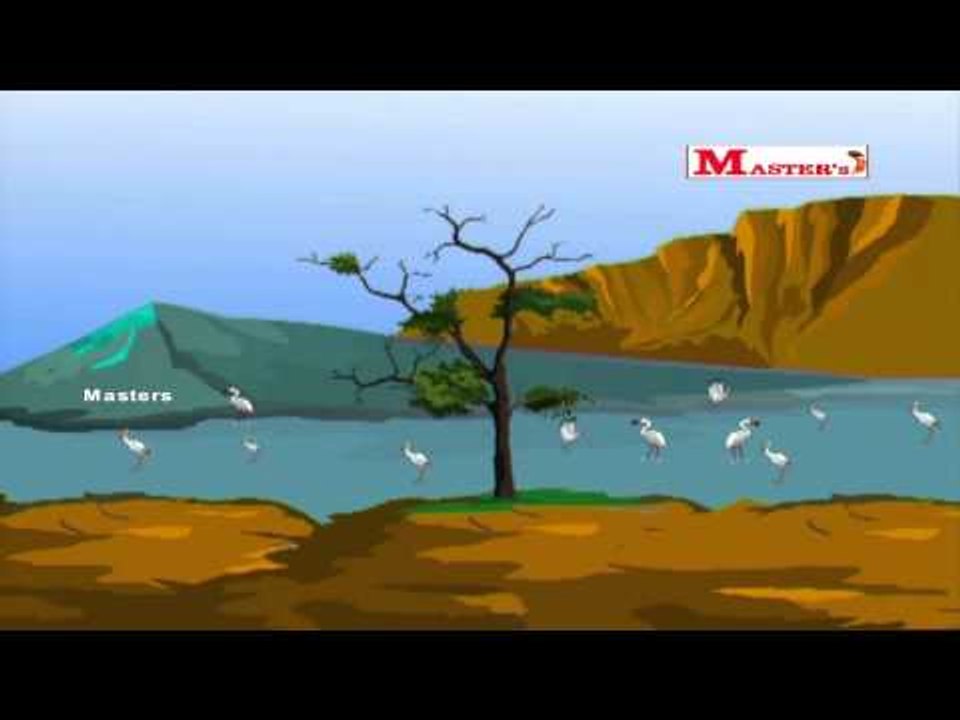 Neela Nira Mayil - Tamil Animation Video for Kids