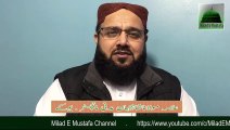 Eid Milad Un Nabi Mubarak By Alama Shajehan Madni and Milad E Mustafa Channel